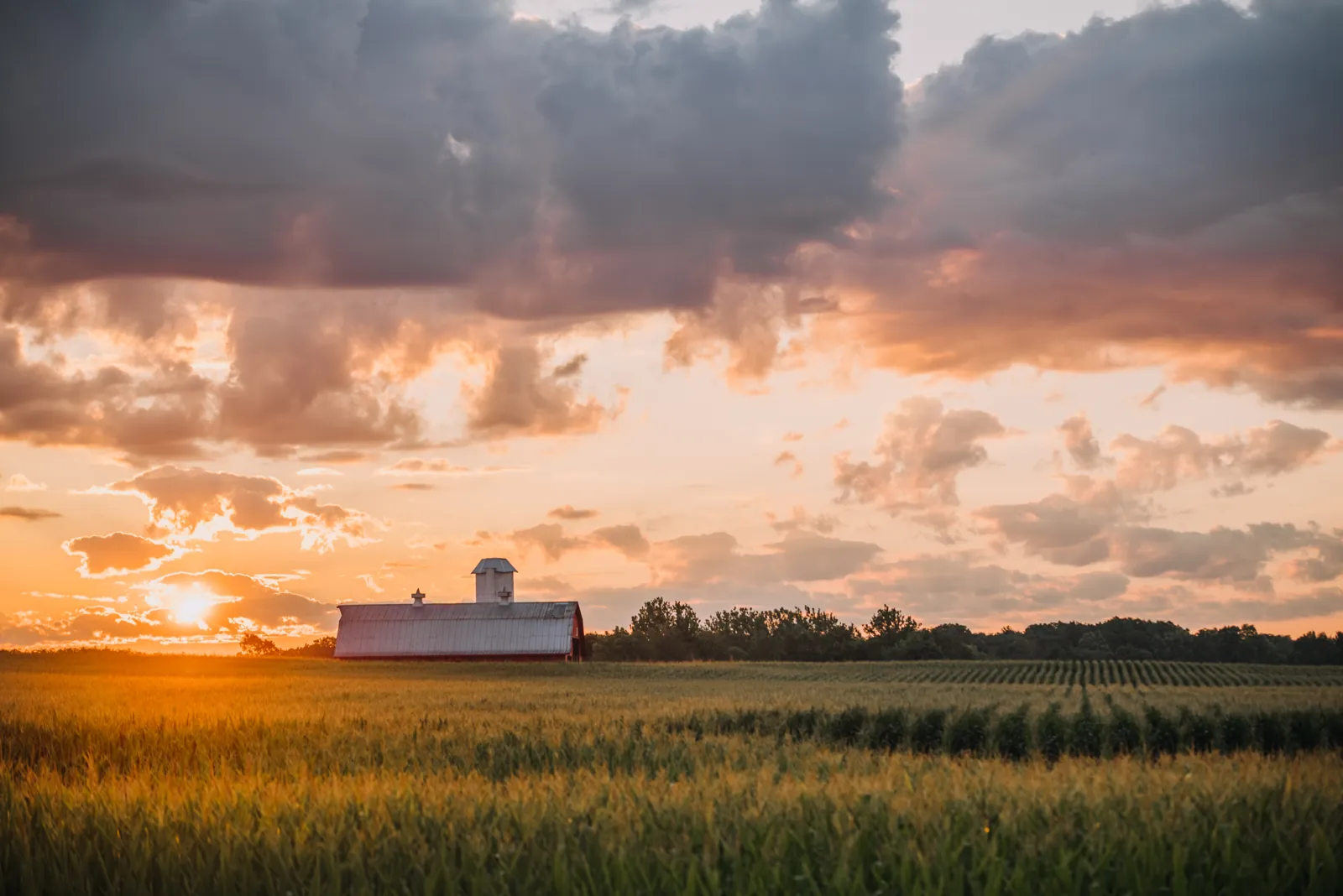 Sunset over a red barn and cornfield