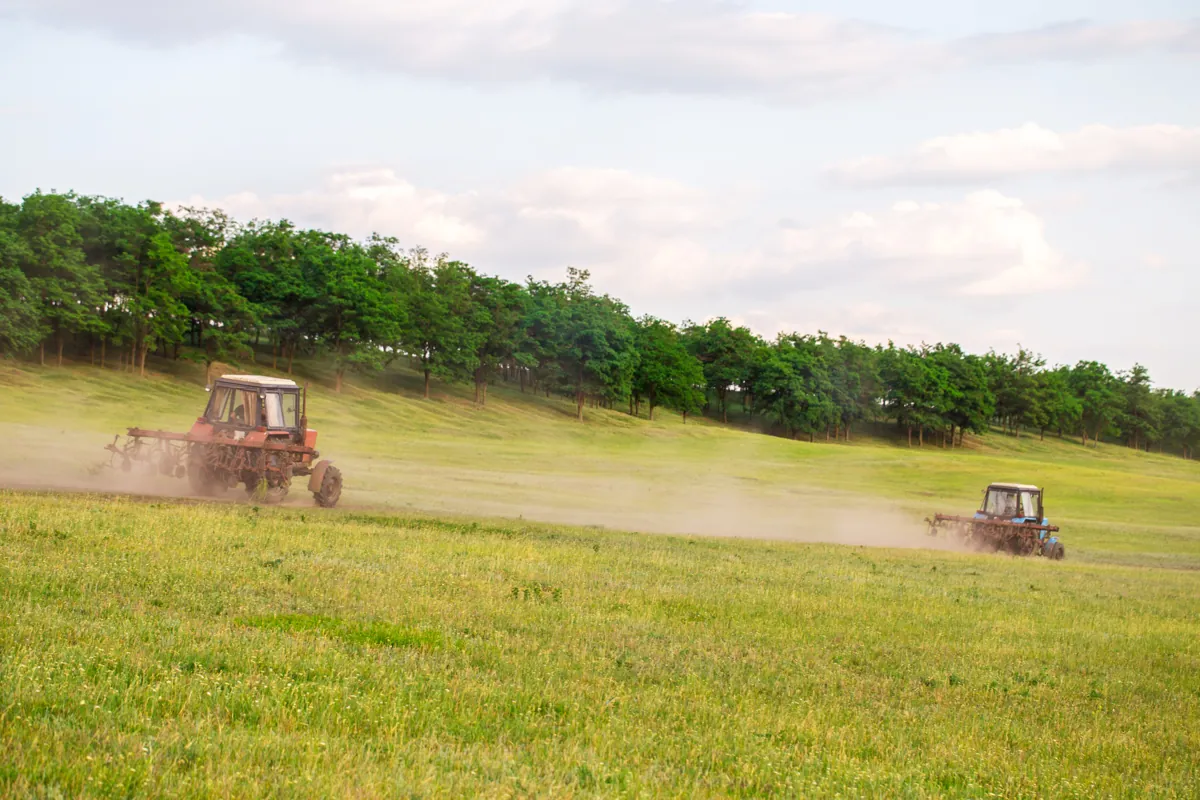 Tractors working a grass field along a tree line